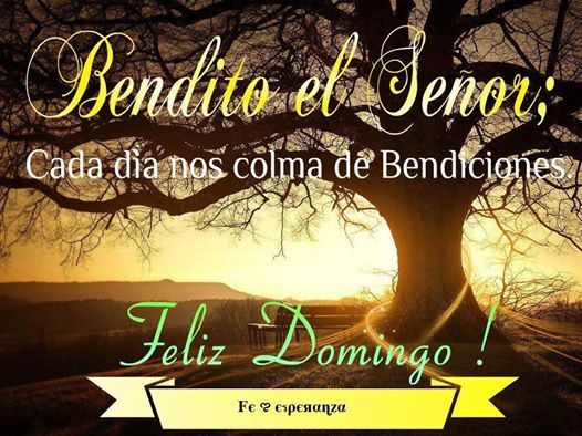 Feliz Domingo Bendito